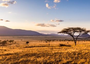 Why Africa’s Geography Is a Barrier to Growth