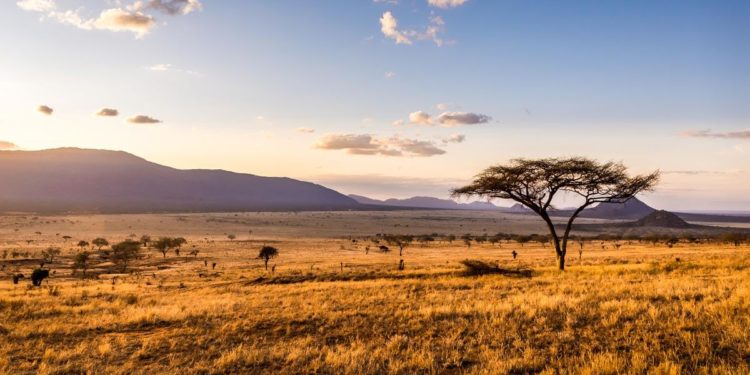 Why Africa’s Geography Is a Barrier to Growth