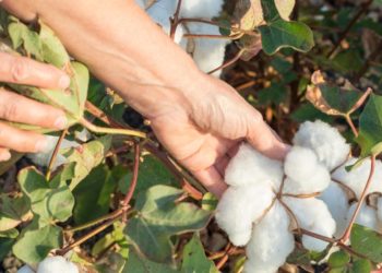 Carl Menger Explains the Nature of Goods