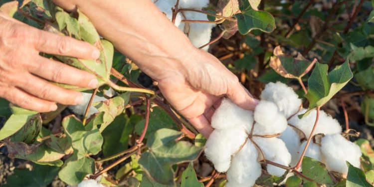 Carl Menger Explains the Nature of Goods