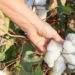 Carl Menger Explains the Nature of Goods
