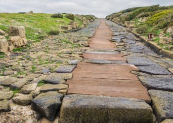 Democracy’s Road to Tyranny