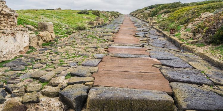 Democracy’s Road to Tyranny