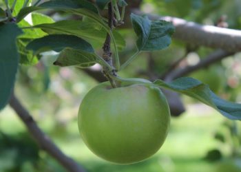 This Is How Savings and Investment Pave the Way for an Advanced Economy