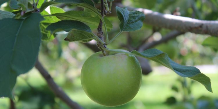 This Is How Savings and Investment Pave the Way for an Advanced Economy