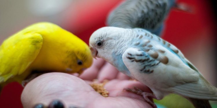 Biden’s Rescue Act Targets Americans’ Freedoms