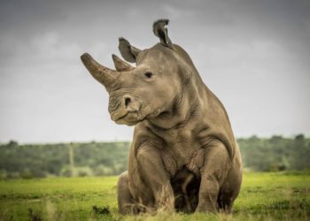 The blood on our hands