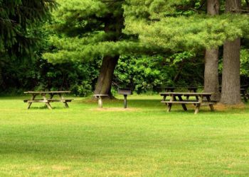 Of Common, Public, and Private Property and the Rationale for Total Privatization