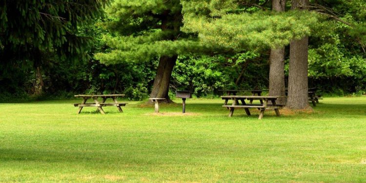 Of Common, Public, and Private Property and the Rationale for Total Privatization