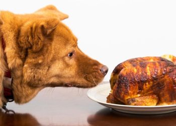 The Moral Law versus Tyranny