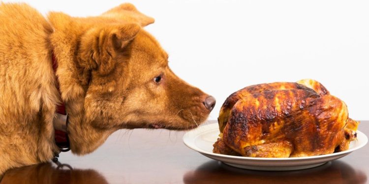 The Moral Law versus Tyranny