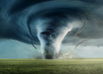 Covid: How the West Embraced Central Planning and Abandoned Human Rights