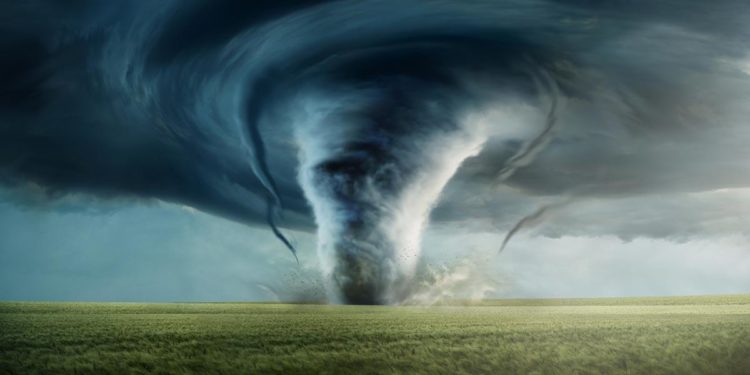 Covid: How the West Embraced Central Planning and Abandoned Human Rights