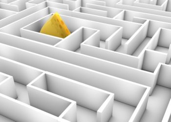 Who Moved My Cheese?: A Book Review