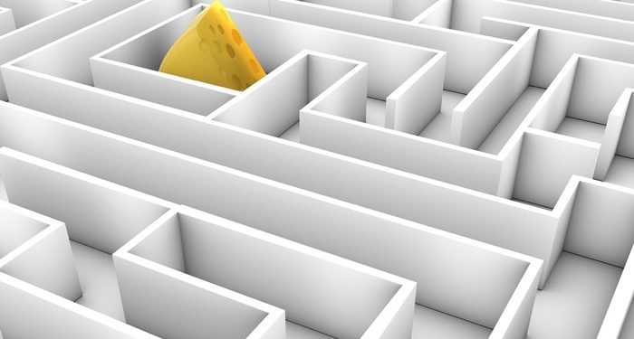 Who Moved My Cheese?: A Book Review