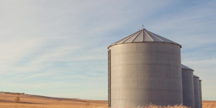 In Defense of the Speculator