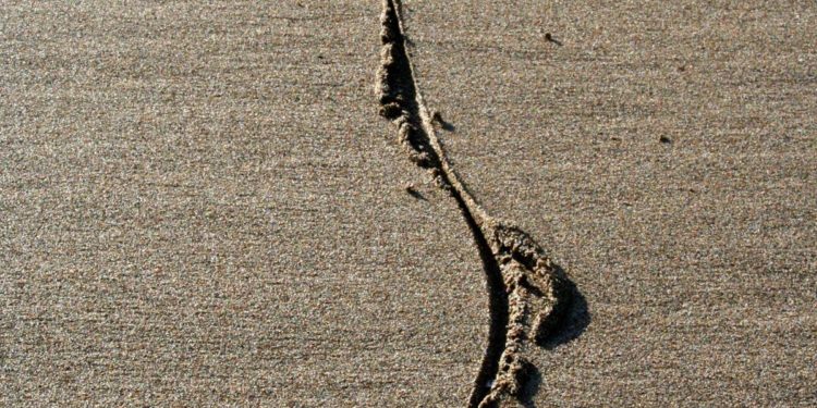 The Prospects for Soft Secession in America