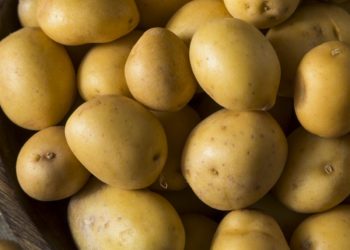 Before a Bust, There Is Always a Boom (and Malinvestment)