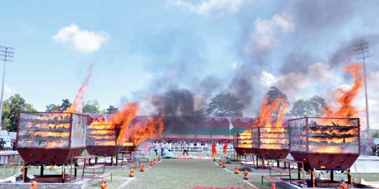 Assam’s bold move on World Rhino Day