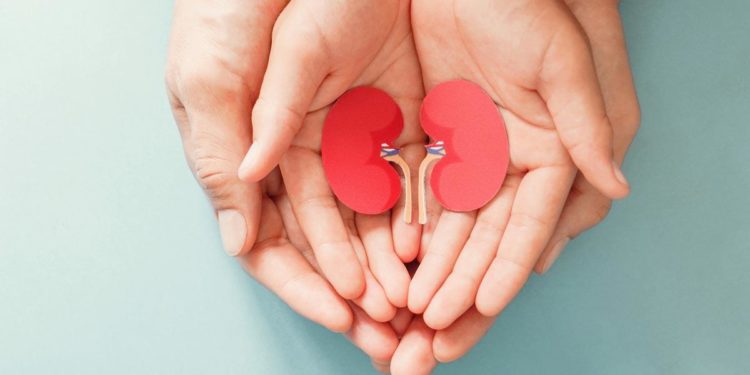 The Tragedy of the Government’s Ban on Human Organ Sales