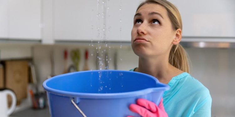 The Debt Ceiling: An Affectionate History