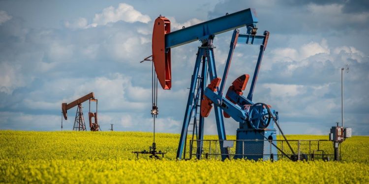 Yes, They Are Coming for the Oil Companies