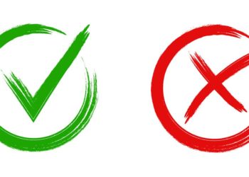 Murray Rothbard versus the Public Choice School