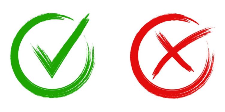 Murray Rothbard versus the Public Choice School