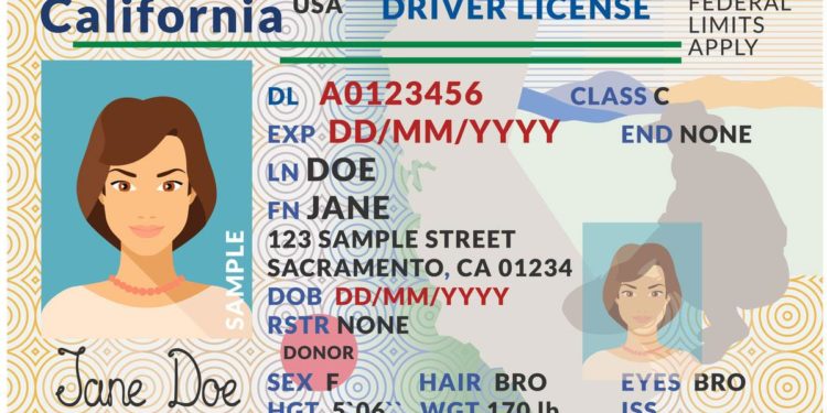 The REAL ID Means a Real Leviathan