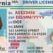 The REAL ID Means a Real Leviathan