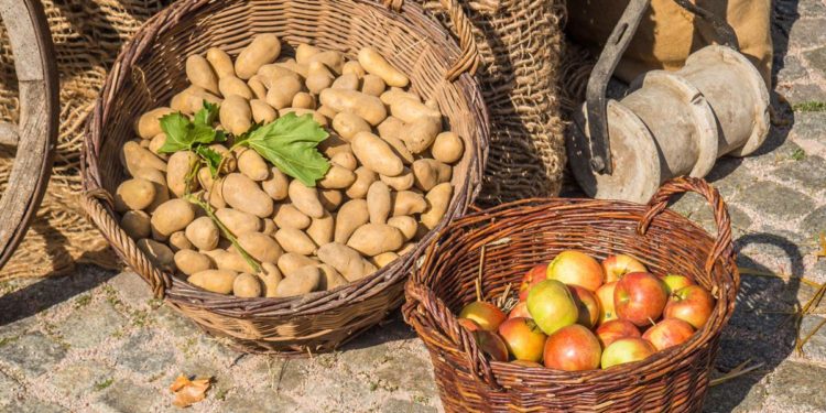 Is Price Stability Really a Good Thing?