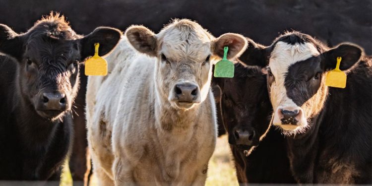 Resist the Unique Patient Identifier!