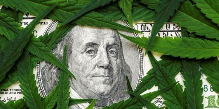 The Real Reason Politicians Want Legal Cannabis Is Tax Money