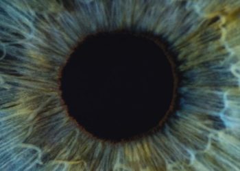 Why “Macro” Thinking in Economics Is Such a Problem