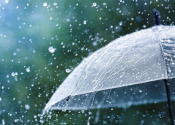 The “Acid Rain” Scare and the Science-Industrial Complex