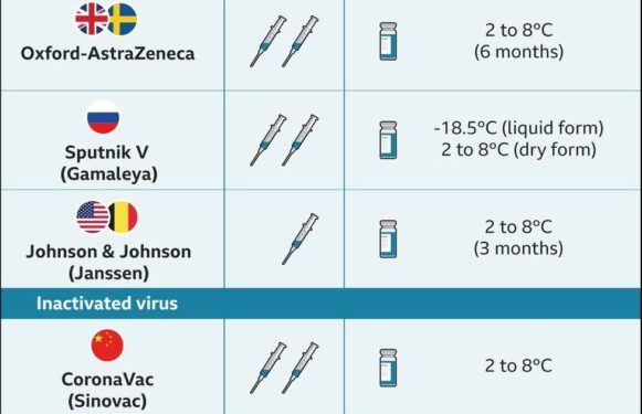 First Covid DNA vaccine in India