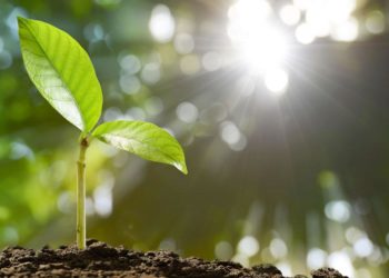 The Rise of the New Socialism—and What You Can Do about It