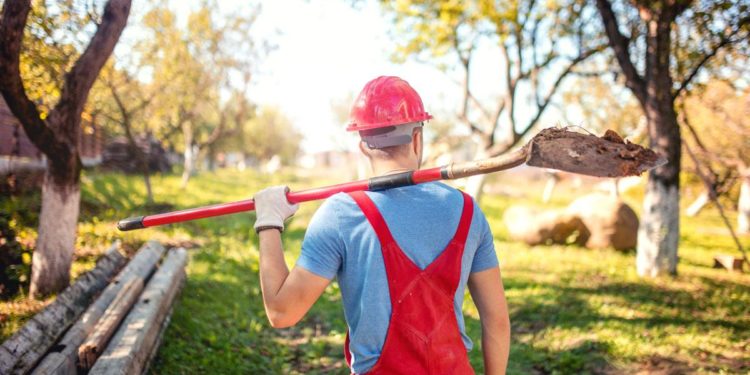 Why Employment Is Not the Key to Economic Growth