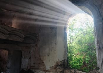 Markets Are Peaceful but the State Is Not