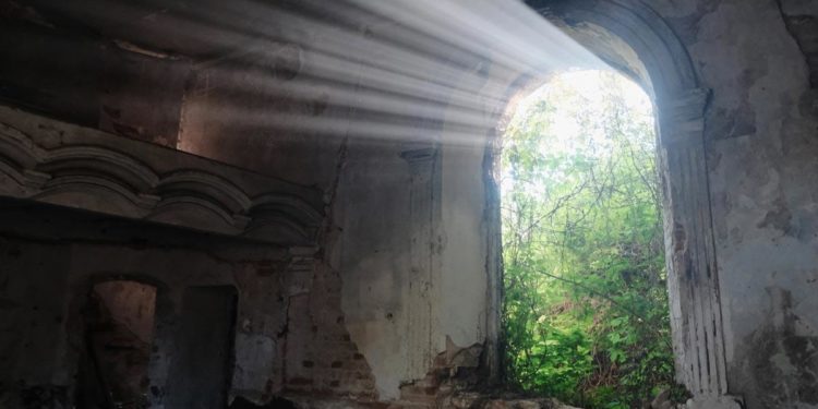 Markets Are Peaceful but the State Is Not