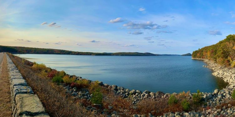 Reparations for Government-Imposed Property Theft Are Justified and Necessary