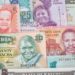 Africa’s Way Out of Monetary Colonialism