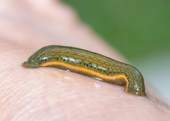 Government Spending Is the Real Tax; Deficits Are a Sideshow