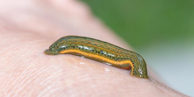 Government Spending Is the Real Tax; Deficits Are a Sideshow