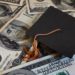Student Loans and Government Subsidies: Another Government “Benefit” Creates Financial Chaos