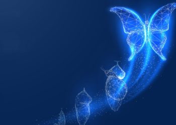 Are Technology Shocks Responsible for Business Cycles? In a Word, No.