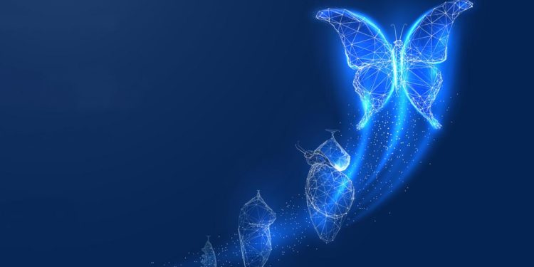 Are Technology Shocks Responsible for Business Cycles? In a Word, No.