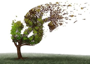 Interest Rate Tightening Will Cause Even More Economic Destruction