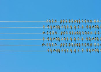 We Need More Inequality, Not Less