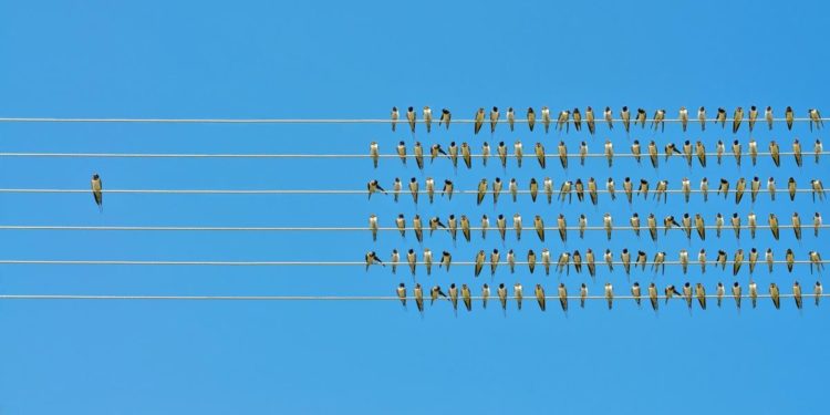 We Need More Inequality, Not Less